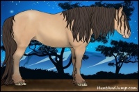 Horse Color:Amber Champagne 