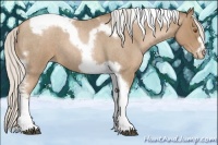 Horse Color:Silver Blue Roan Pearl Tobiano Frame 
