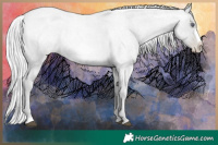 Horse Color:Silver Blue Chinchilla Roan Pearl Frame