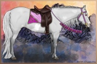 Horse Color:Silver Blue Chinchilla Roan Pearl Frame 