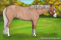 Horse Color:Silver Bay Roan Splash