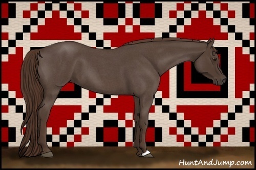 Horse Color:Liver Red Roan