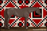 Horse Color:Liver Red Roan 