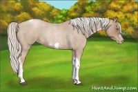 Horse Color:Silver Blue Roan Pearl Tobiano Frame