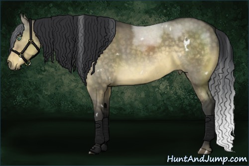 Horse Color:White Spotted Buckskin Dun Rabicano