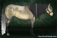 Horse Color:White Spotted Buckskin Dun Rabicano