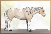 Horse Color:Silver Blue Roan Pearl Tobiano Frame