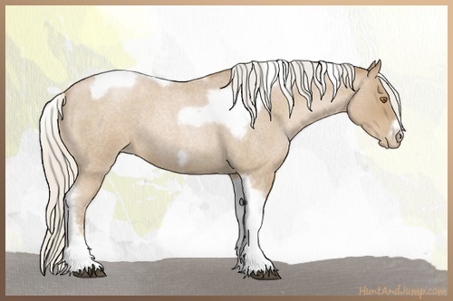 Horse Color:Silver Blue Roan Pearl Tobiano Frame