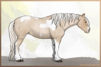 Horse Color:Silver Blue Roan Pearl Tobiano Frame 