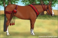 Horse Color:Bay Sabino 