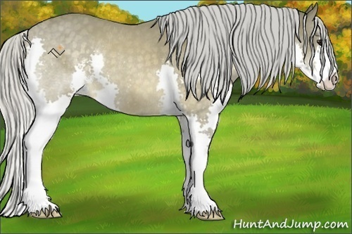 Horse Color:Silver Buckskin Sabino Splash Rabicano