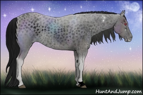 Horse Color:ERROR: UNKNOWN ANOMALY