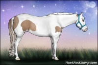 Horse Color:Black Pearl Splash Tobiano 