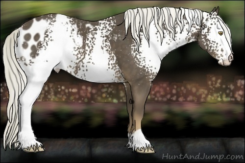 Horse Color:White Spotted Liver Chestnut Mushroom Blanket 