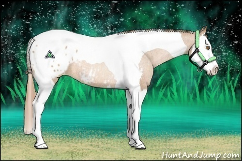 Horse Color:Brown Pearl Sabino Splash Tobiano Blanket Rabicano 
