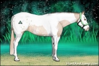Horse Color:Brown Pearl Sabino Splash Tobiano Blanket Rabicano