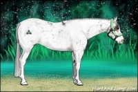 Horse Color:Buckskin Sabino Rabicano 