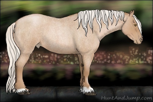 Horse Color:Silver Bay Roan Pearl