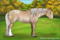Horse Color:White Spotted Silver Black Pearl Sabino 