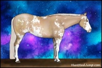 Horse Color:Silver Black Pearl Sabino 