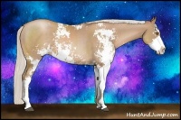 Horse Color:Silver Black Pearl Sabino