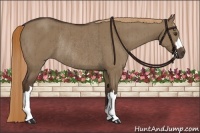 Horse Color:Liver Red Dun Rabicano Brindle