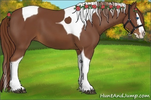 Horse Color:Chestnut Splash Tobiano