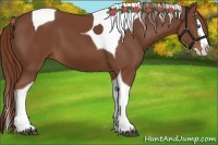 Horse Color:Chestnut Splash Tobiano 