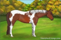 Horse Color:Chocolate Bay Tobiano 