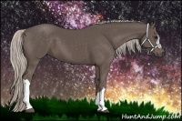 Horse Color:Silver Black 