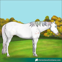 Horse Color:Nacre Silver Buckskin Pearl Dun Splash Tobiano Frame Blanket 