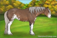 Horse Color:Silver Black Sabino 