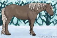 Horse Color:Silver Black 