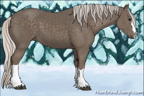 Horse Color:Silver Black 