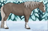 Horse Color:Silver Black 