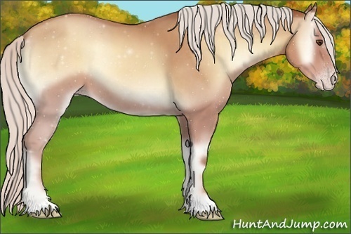 Horse Color:Silver Classic Champagne Onyx 