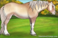 Horse Color:Silver Classic Champagne Onyx