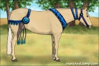 Horse Color:Palomino