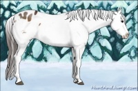 Horse Color:Brown Sabino Snowflake Varnish 