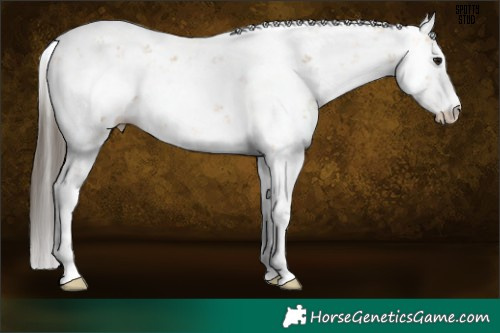 Horse Color:Buckskin Sabino 