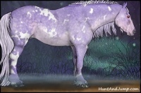 Horse Color:Watercolor White Spotted Silver Smoky Blue Chinchilla Ice Roan Rabicano 