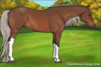 Horse Color:Silver Bay