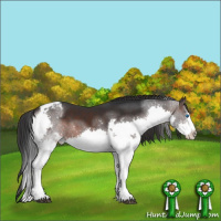 Horse Color:Brown Splash Tobiano 