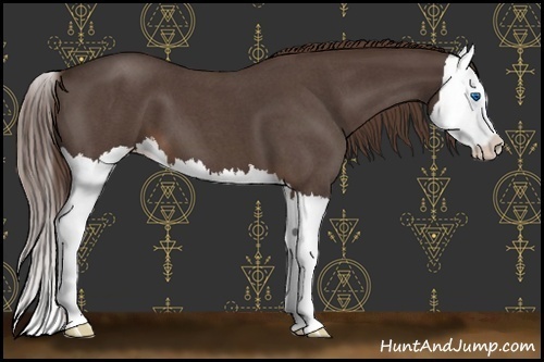 Horse Color:Liver Red Roan Splash 