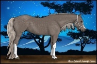 Horse Color:Silver Black 