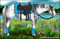 Horse Color:White Spotted Black Splash