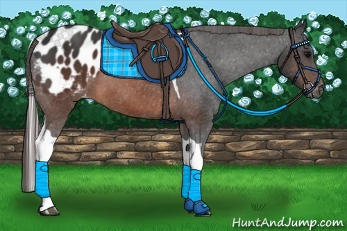 Horse Color:Brown Tobiano Blanket 