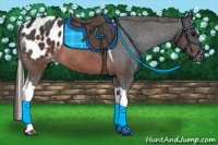 Horse Color:Brown Tobiano Blanket 