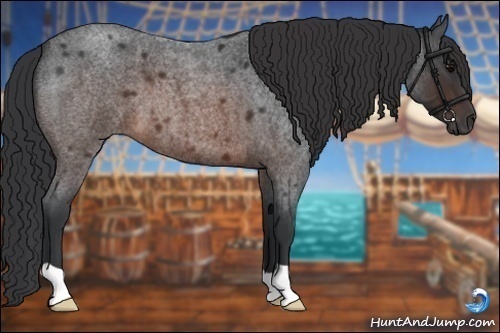 Horse Color:Brown Roan 