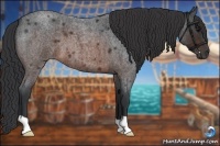 Horse Color:Brown Roan